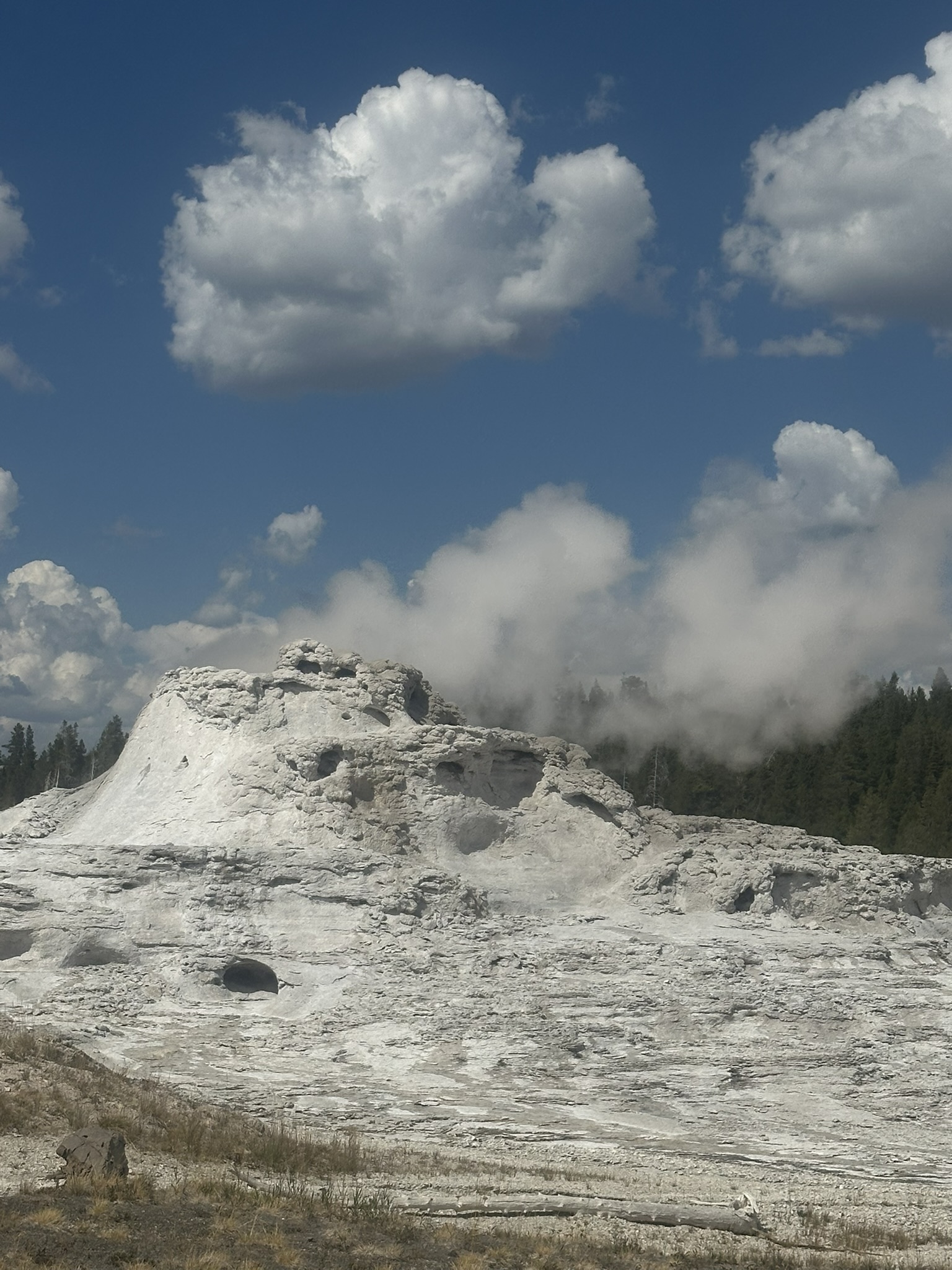 Yellowstone And Grand Teton National Parks